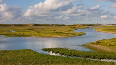 belgie_west-vlaanderen_het-zwin_water_natuur_duinen_getty-538512395