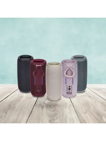 BTV150RO Bluetooth Speaker