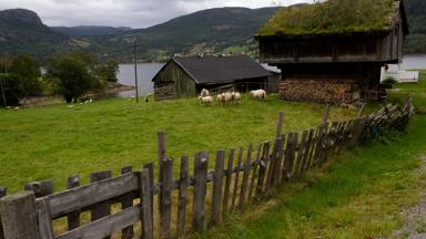 noorwegen_hovden_kinderboerderij_h