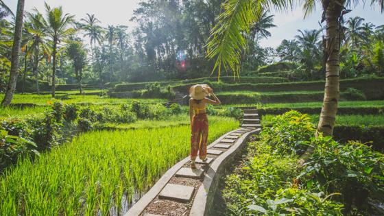 Photo taken in Ubud, Indonesia