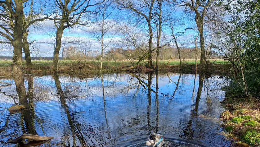 Wandelroutecontroleur: Wandelen met je hond Glimmen