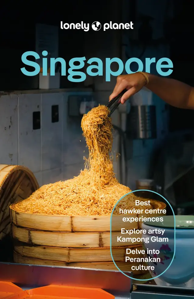 Reisgids Singapore 14
