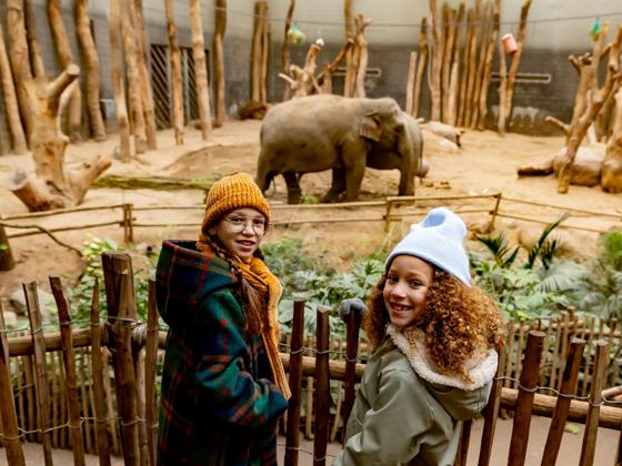 Impressie van DierenPark Amersfoort