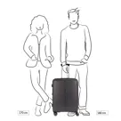 Gabol medium trolley expandable Groen