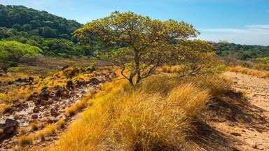 costa rica_guanacaste_rincon-de-la-vieja_nationaal-park_natuur_shutterstock-601406795