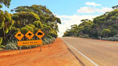 australie_algemeen_kangoeroe_verkeersbord_weg_outback_b