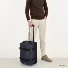 Beagles - Travel - Handbagage reistas