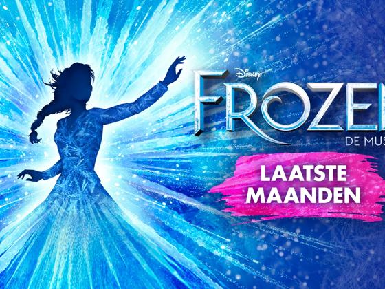 Impressie van Disney FROZEN