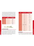 Taalgids Phrasebook Brazilian Portuguese