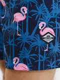 Vibes Novelty AOP - Heren - Zwembroek