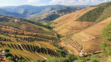Douro Valley, Portugal