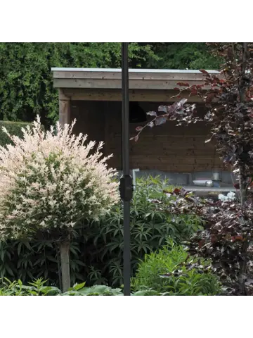 Lotus Ø300 Stokparasol Garden Impressions