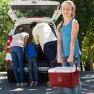 Brisby - Koelbox - 8L