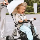 Explorer Luxe Driewieler - Opvouwbaar - Deryan