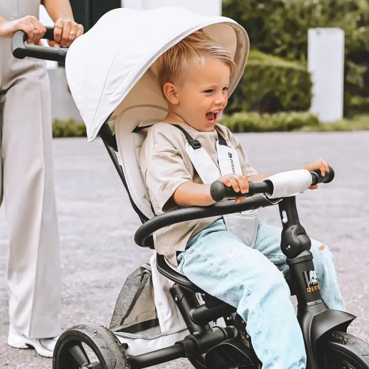 Explorer Luxe Driewieler - Opvouwbaar met mandje