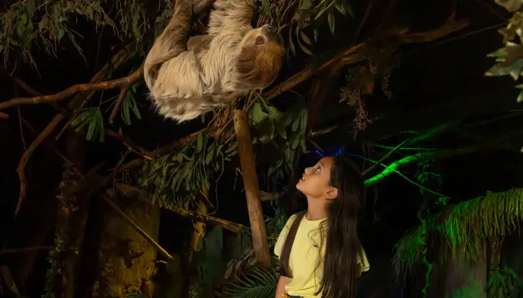 DierenPark Amersfoort Dinsdag Deal