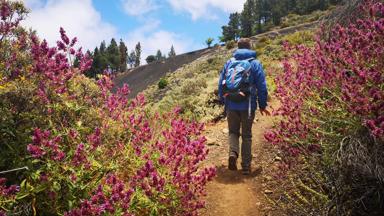 S-cape_Gran Canaria_bloemen Altavista