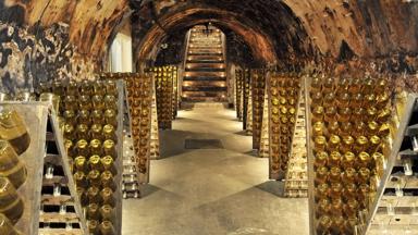 sfeer_champagne_wijnhuis-champagne-bouche-pere-fils_tourisme-champagne_copyright©Champagne Bouché Père et Fils