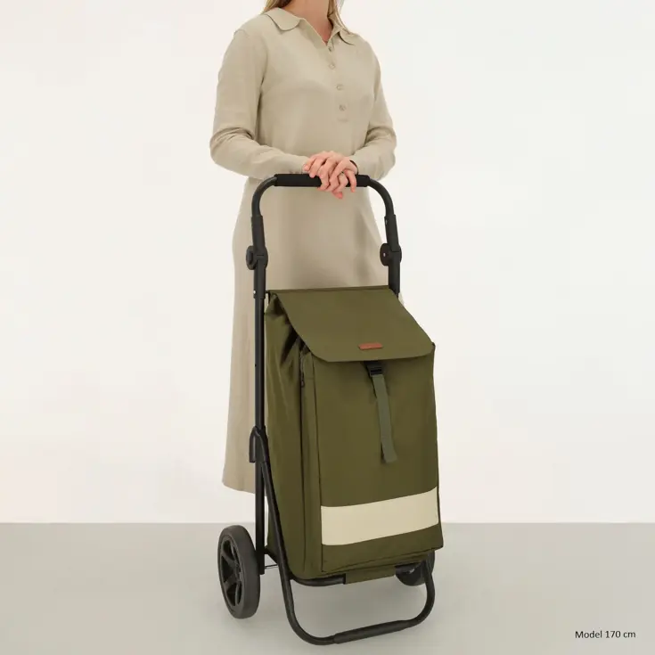 Alberic - Boodschappenkar - Koelvak - 42L