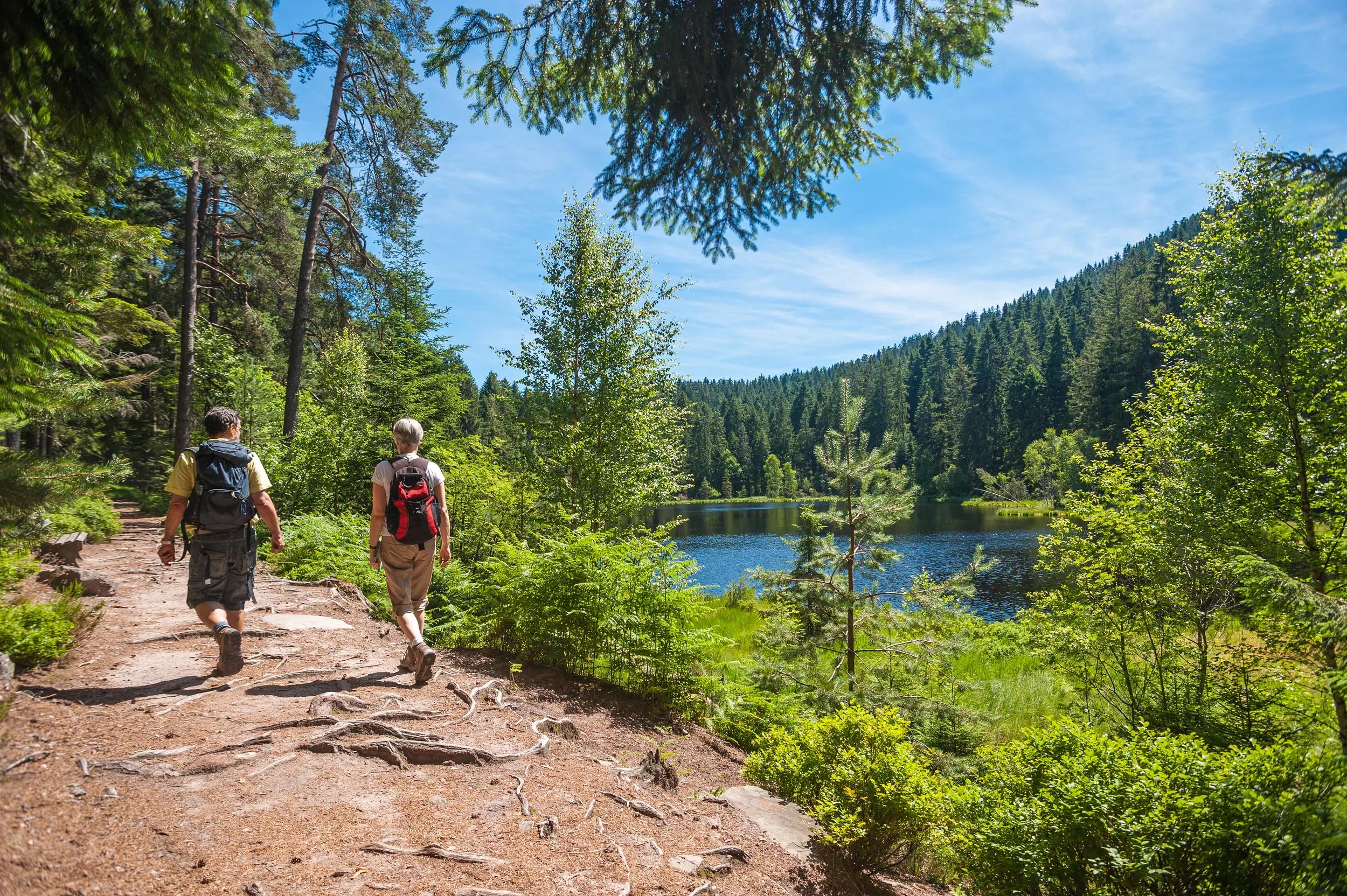 4-, 5-, of 8-daagse autovakantie Zwarte Woud - Elzland Hotel Pfauen