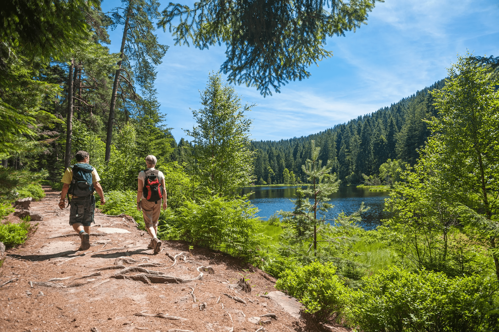 Vakantie 4-, 5-, of 8-daagse autovakantie Zwarte Woud - Elzland Hotel Pfauen in Diversen (Baden-Württemberg, Duitsland)