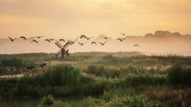 nederland_noord-holland_purmerend_vogels_natuur_molen_zonsondergang_getty-1165310567