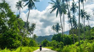 thailand_koh-samui_scooter_weg_palmbomen_shutterstock