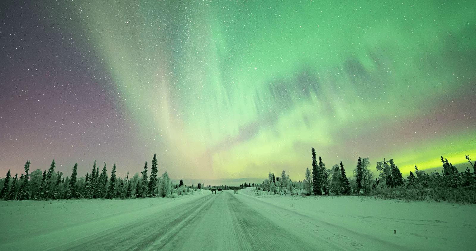 8-daagse groepswintervakantie Fins Lapland - Levi afbeelding