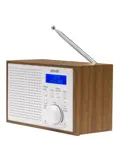 DAB46W DAB+/FM Radio Wekkerfunctie