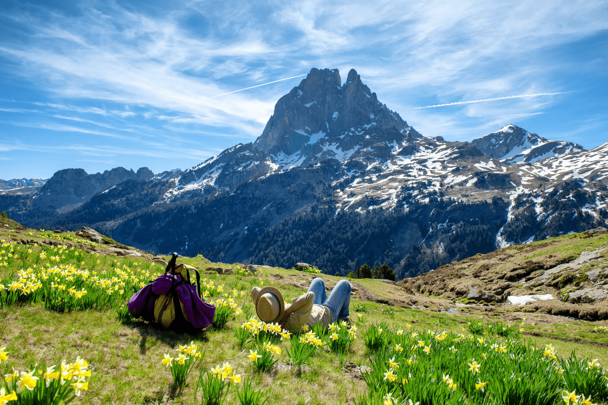 7-daagse rondreis Occitanië - Carcassonne & Uitlopers Pyreneeën afbeelding