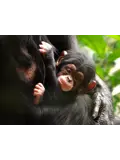 DierenPark Amersfoort Dinsdag Deal