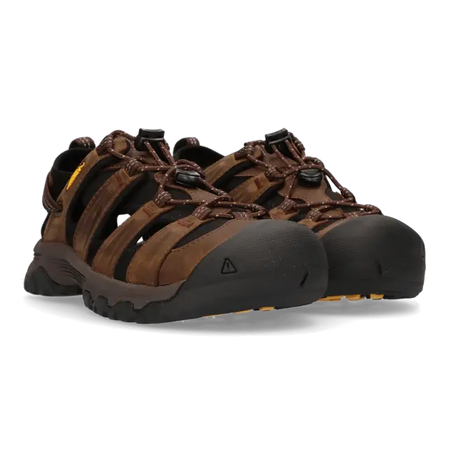 Targhee III - Wandelschoenen - Heren