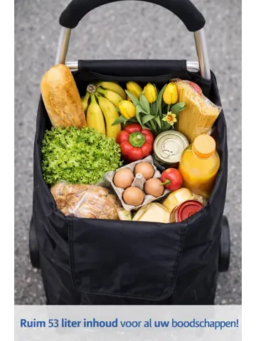 Boodschappentrolley 53L Zwart Met Wielen