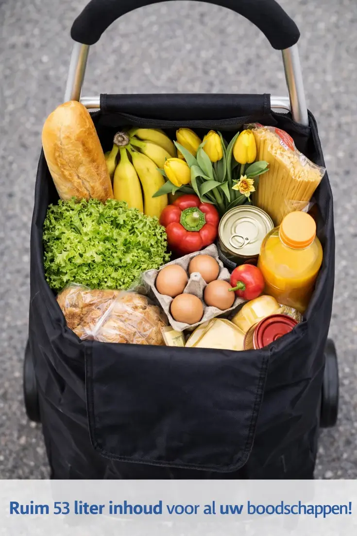 Boodschappentrolley 53L Zwart Met Wielen