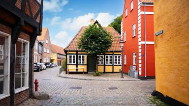 Fox-Reizen-Denemarken-Ribe-vakwerkhuizen-Wijnand