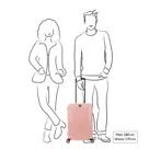 Decent Axiss-Fix koffer / 43 L