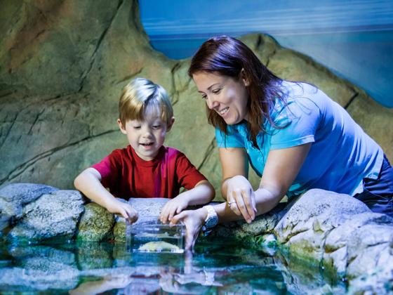 Impressie van SEA LIFE Scheveningen