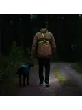 Boston 500 - Borstlamp oplaadbaar