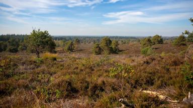 nederland_overijssel_ raalte_vakantieprak_luttenberg (1)