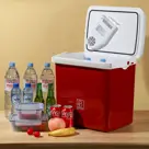 Brisby - Elektrische Koelbox - 25L - 12V/230V