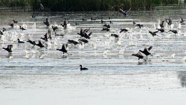 griekenland_chalkidiki_Kassandra-Sani_Wetlands_a