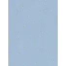 Ubel - Overhemd Heren