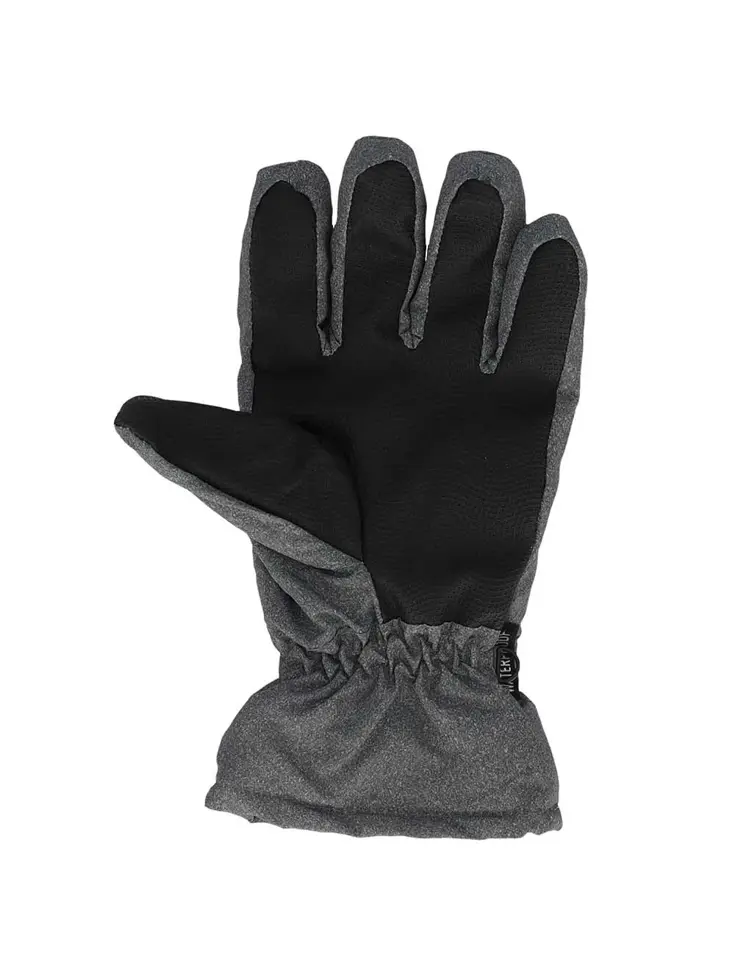 Dames - Ski Handschoenen