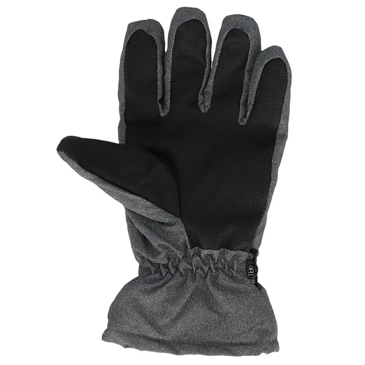 Dames - Ski Handschoenen