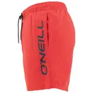 O'Neill - Cali Zwemshort - Heren
