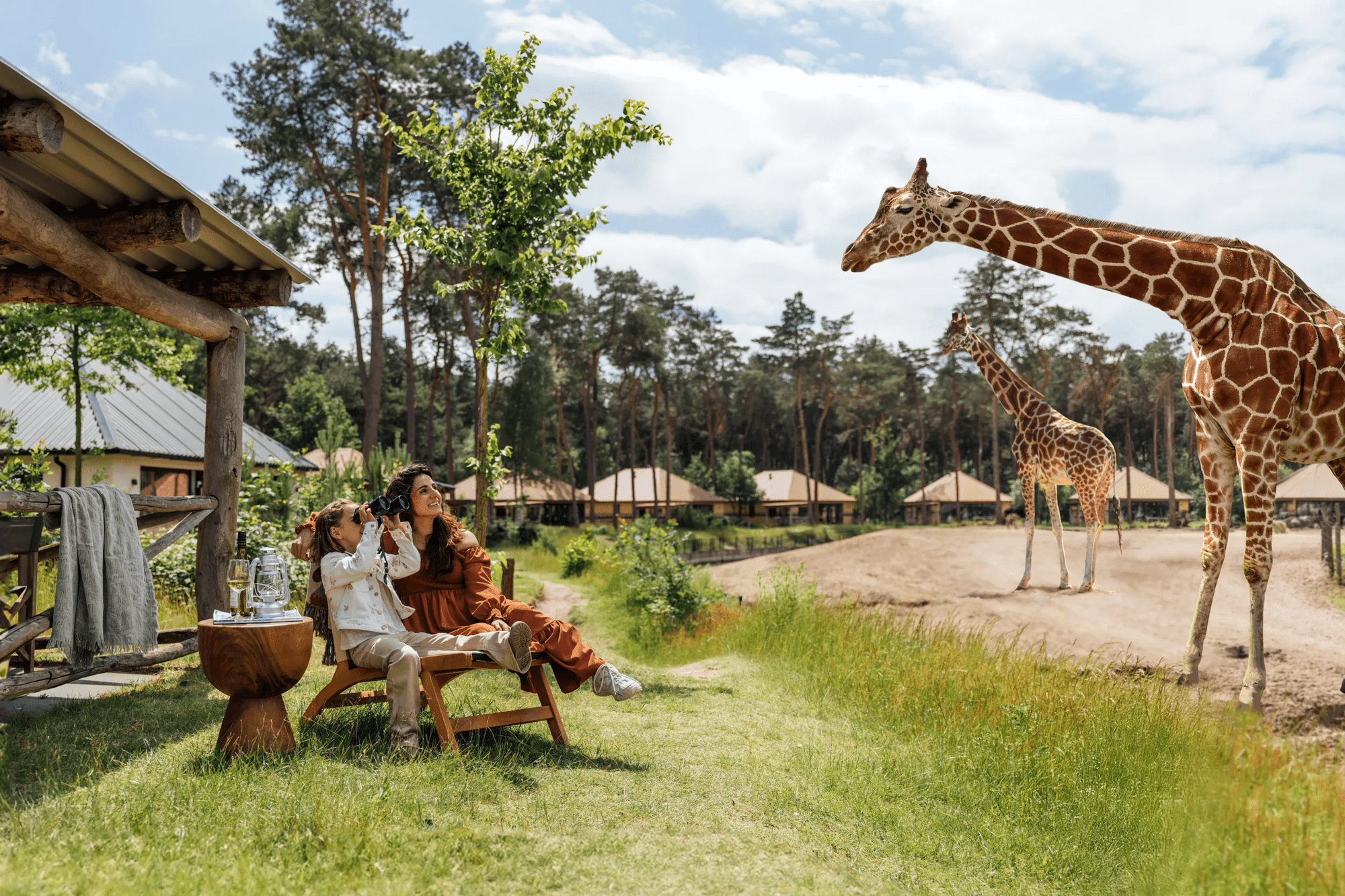 3-, 4-, 5-daags arrangement Safari Resort Beekse Bergen afbeelding