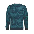 Birtav - Sweater heren - Human Nature