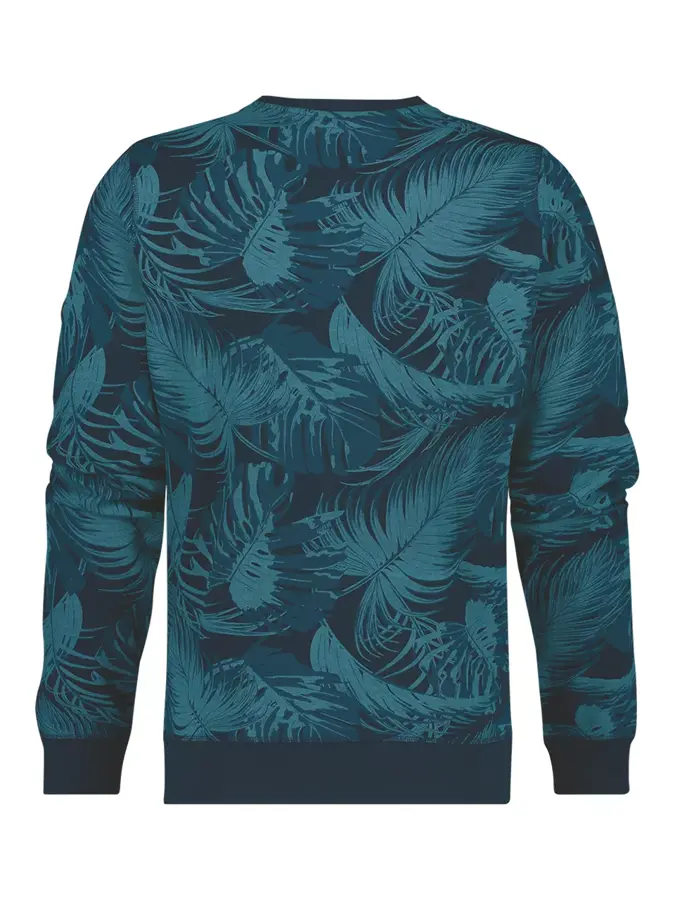 Birtav - Sweater heren - Human Nature