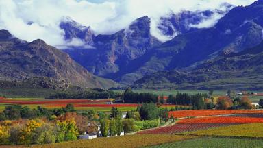 zuid-afrika_west-kaap_stellenbosch_wijnlanden-1_a