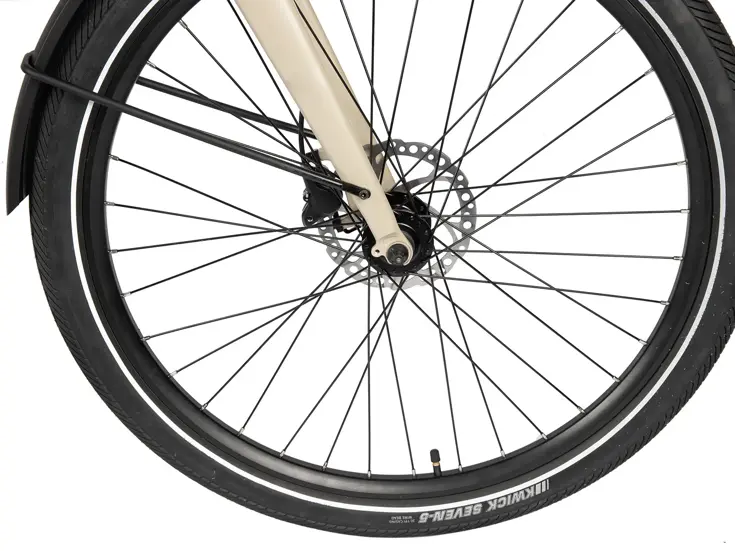 Extreme RM Automatic ebike 13 Villette